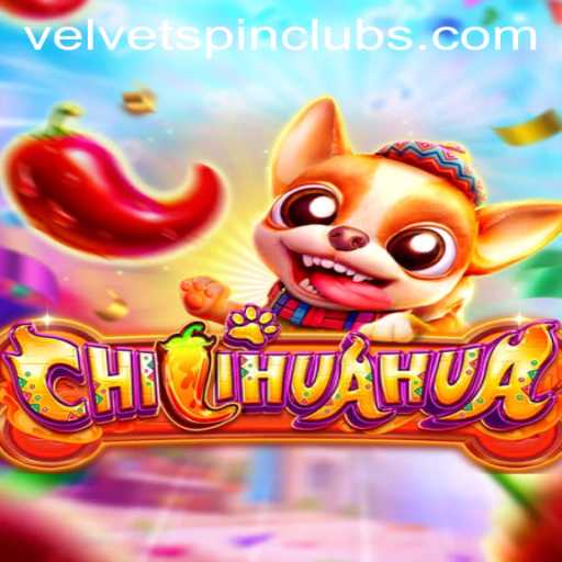 Unveiling the Thrills of CHILIHUAHUA: The Velvet Spin Phenomenon